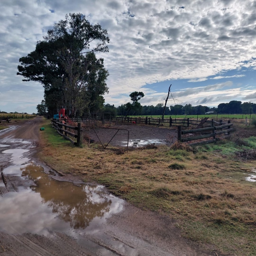 Commercial Property for Sale in Bloemfontein Rural Free State